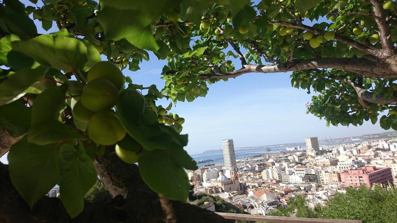 Appartamento Cerca Playa-Aa-Patio Privado Alicante Esterno foto